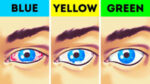 What Color Is The Easiest On The Eyes?
